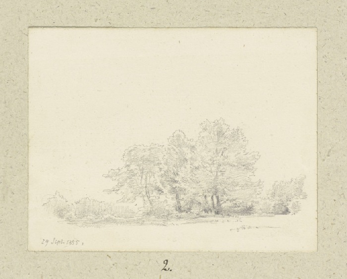 Group of trees od Carl Theodor Reiffenstein