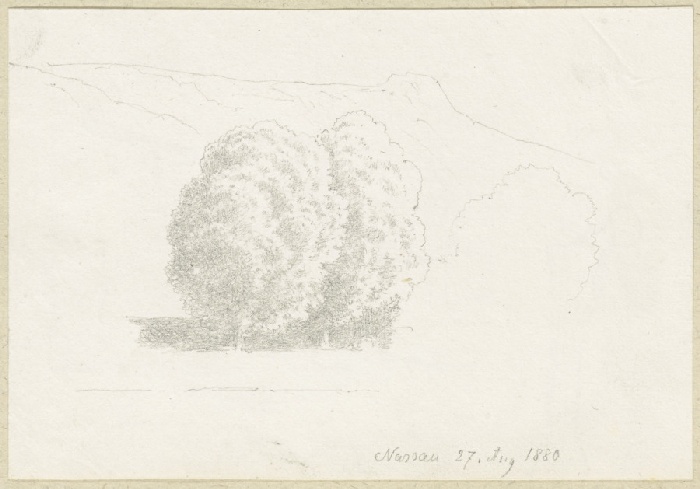 Group of trees near Nassau od Carl Theodor Reiffenstein