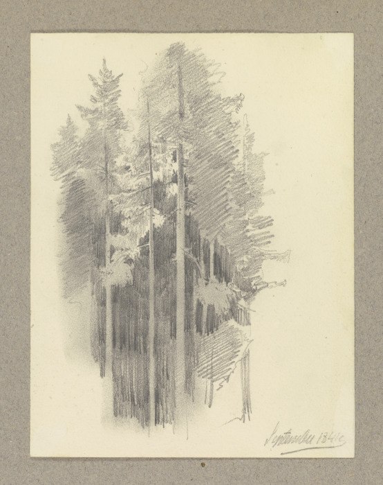 Thick conifer forest od Carl Theodor Reiffenstein