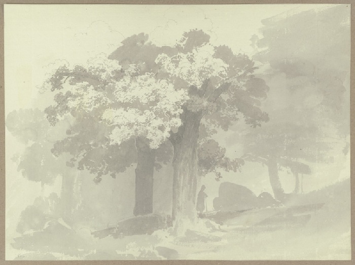 Ein Mann, auf einen Stock gestützt, im Schatten der Bäume od Carl Theodor Reiffenstein