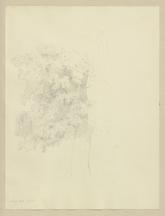 Large tree od Carl Theodor Reiffenstein
