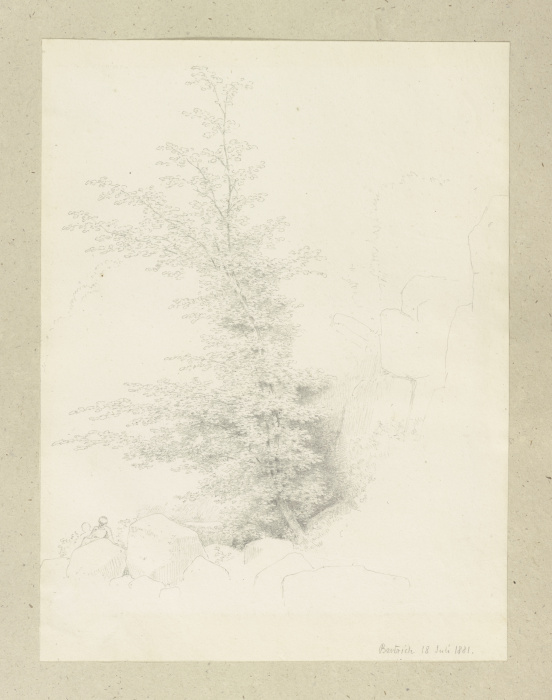 Junger Baum bei Bertrich od Carl Theodor Reiffenstein