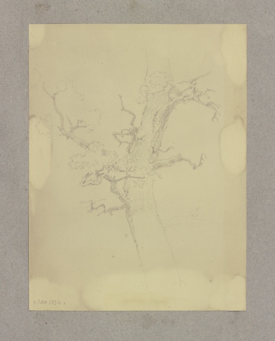 Leafless tree od Carl Theodor Reiffenstein