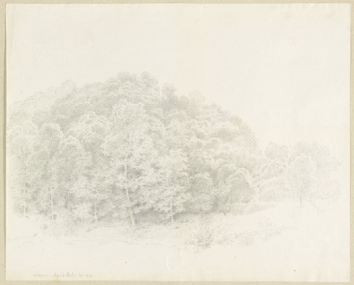 Edge of a forest near Nassau od Carl Theodor Reiffenstein