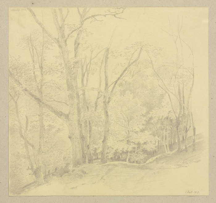 Forest path od Carl Theodor Reiffenstein