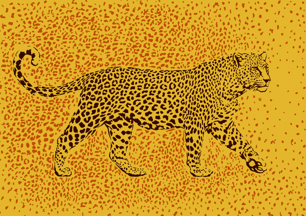 Leopard Rosette camouflage od Carlo Kaminski