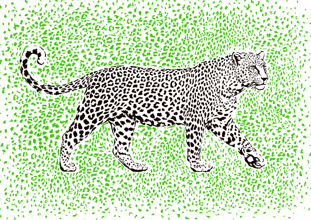 Leopard Rosette camouflage od Carlo Kaminski