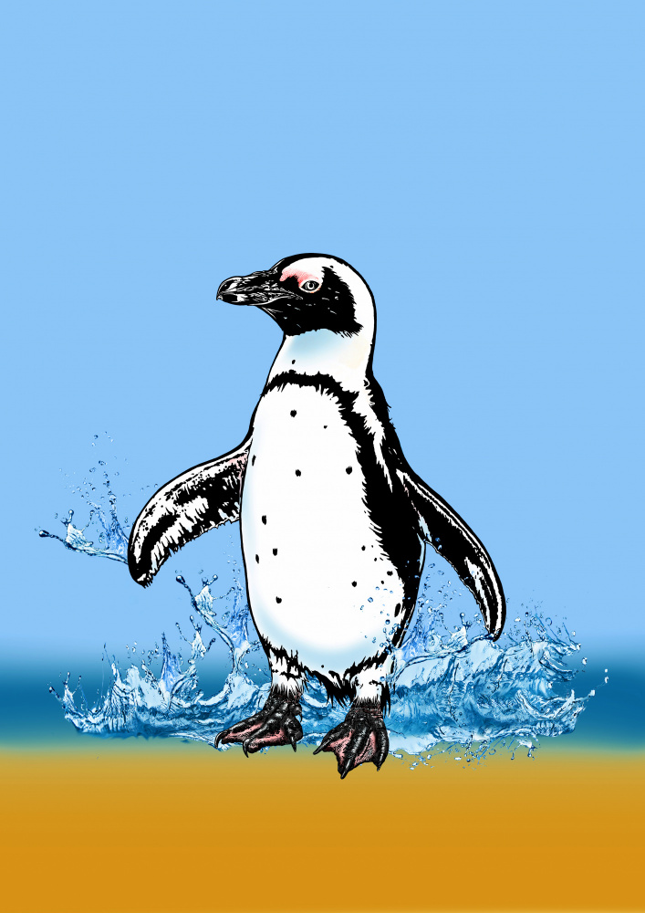 Cute Penguin splashing od Carlo Kaminski