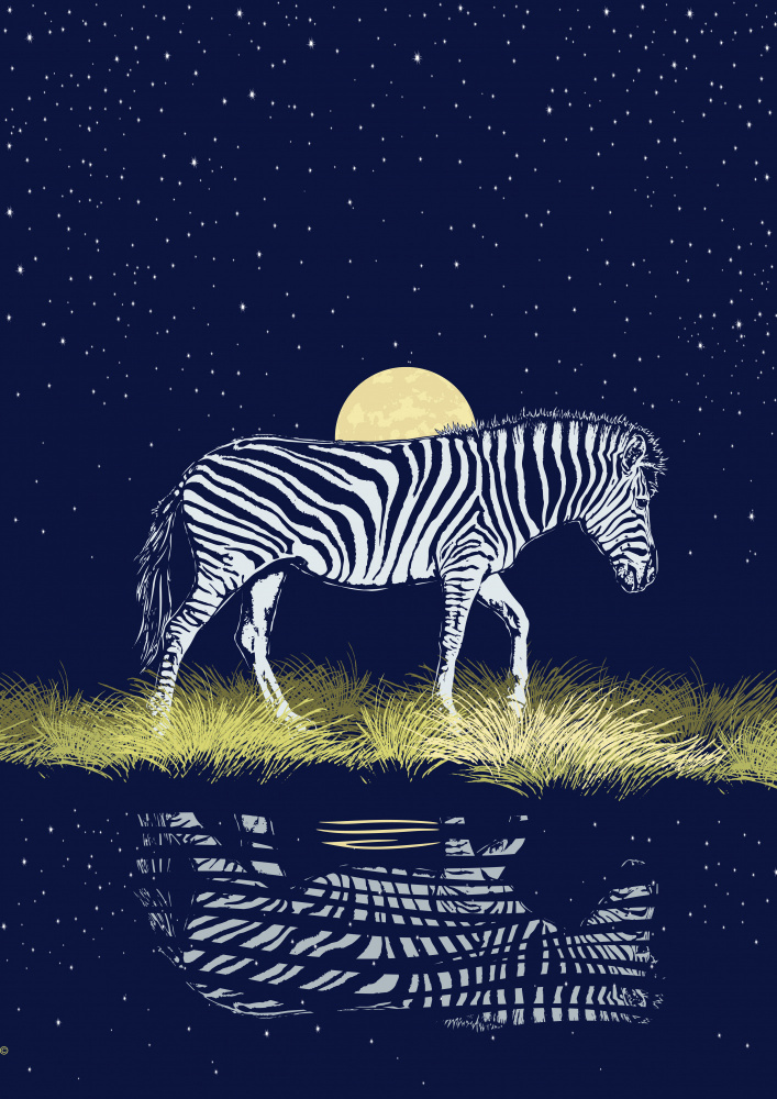 Zebra at Waterhole Moonrise od Carlo Kaminski