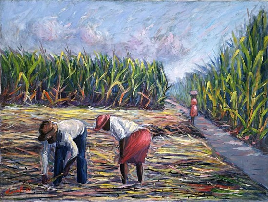 Sugarcane Harvest od  Carlton  Murrell