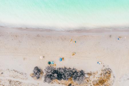 a day at the beach