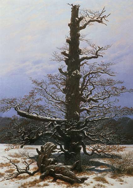 Oak Tree in the Snow od Caspar David Friedrich