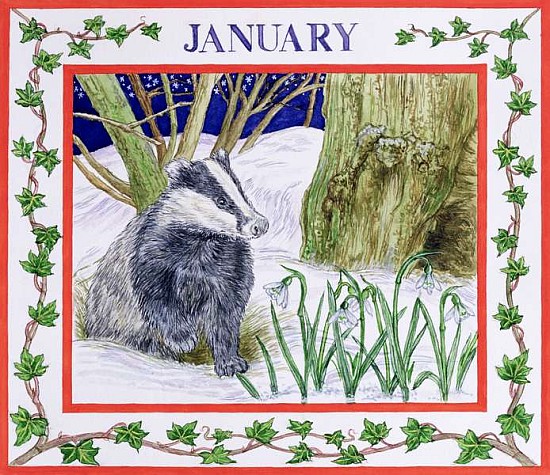 January (w/c on paper)  od Catherine  Bradbury