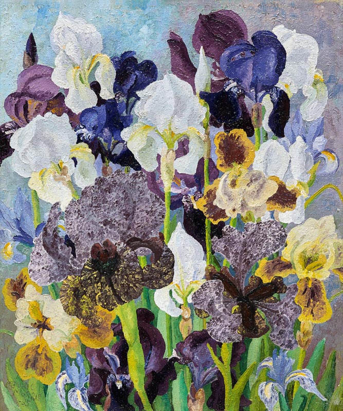 May Flowering Irises od Cedric Morris