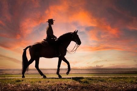 Evening ride