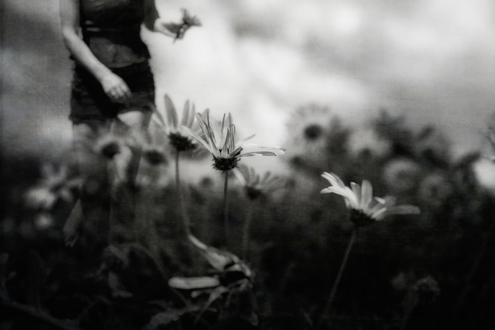 ...then I was young and unafraid... od Charlaine Gerber