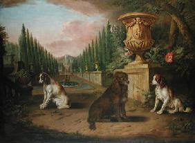 Three Spaniels in a formal garden