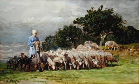 A Shepherdess with a Flock of Sheep od Charles Emile Jacques