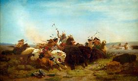 The Buffalo Hunt