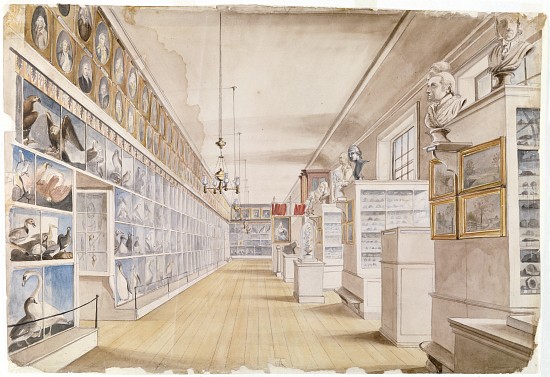The Long Room, Interior of Front Room in Peale's Museum od Charles Willson Peale