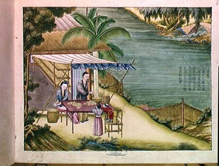 Ms 202 f.6 Sorting the Cocoons, from a book on the silk industry  on od Chinese School