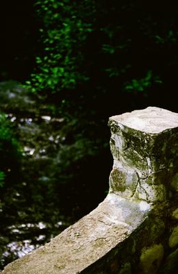 brücke im wald od Christian Frohsz