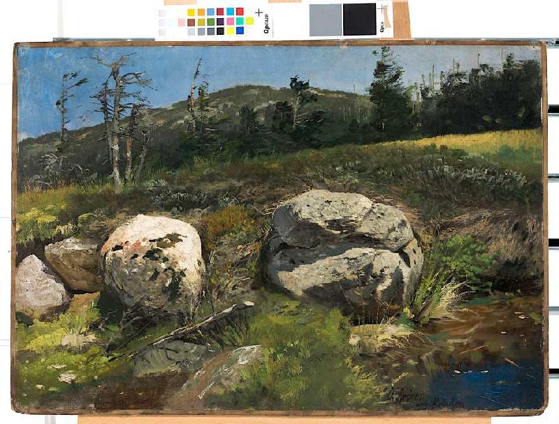 Studie eines Waldhangs mit Steinen od Christian Kröner