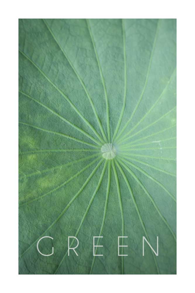 Green 04 od Christian Müringer