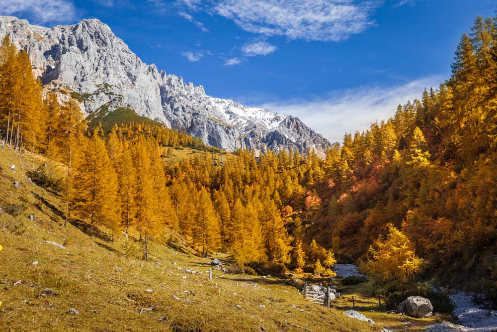 Hiking trail between Neustattalm and Bachlalm on the Dachstein od Christian Müringer