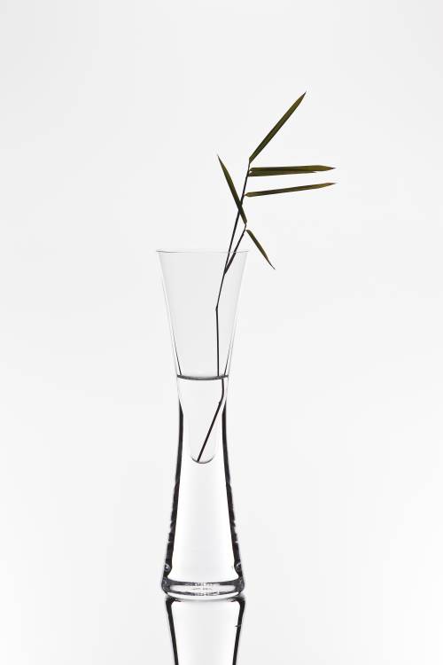 bamboo od Christian Pabst