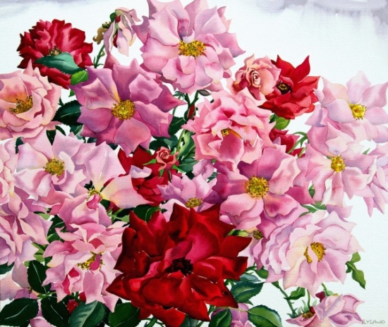 Red and Pink Roses od Christopher  Ryland