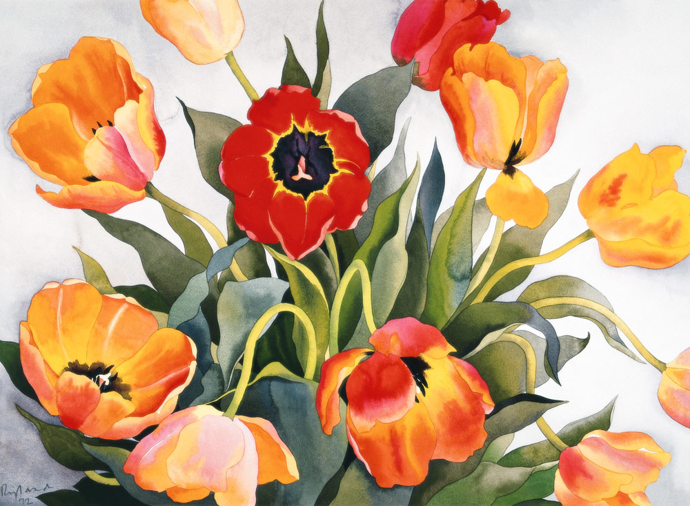 Orange and Red Tulips (w/c)  od Christopher  Ryland