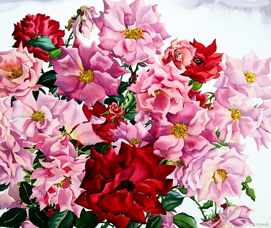 Red and Pink Roses od Christopher  Ryland