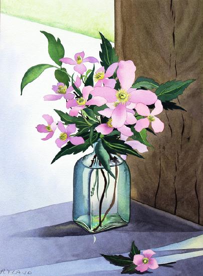 Still Life Pink Clematis