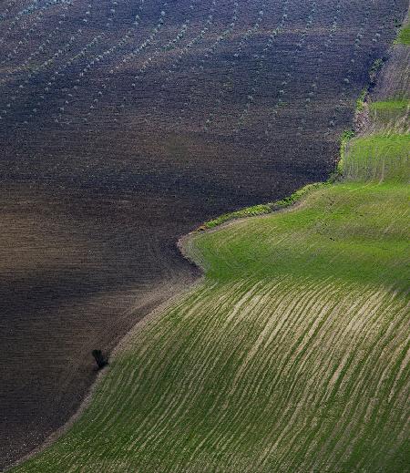 Lines Andalusien