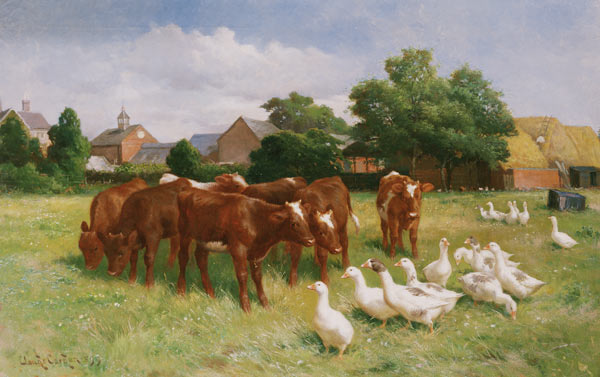 Cows and Ducks od Claude Cardon