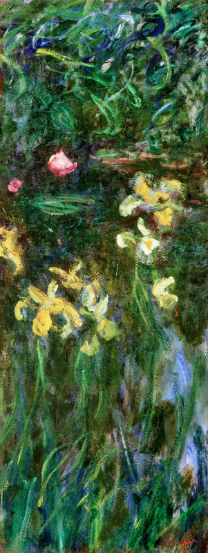 Iris Jaunes. od Claude Monet