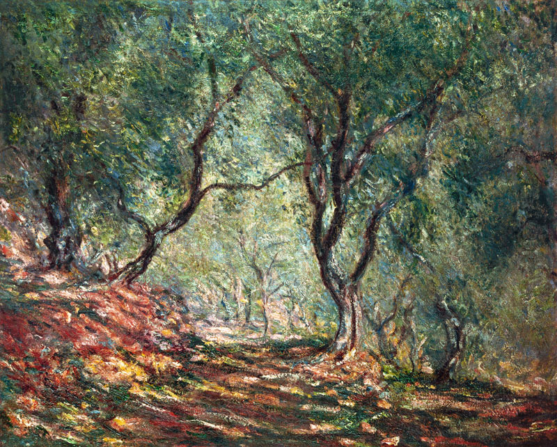 Olive grove in the garden Moreno. od Claude Monet