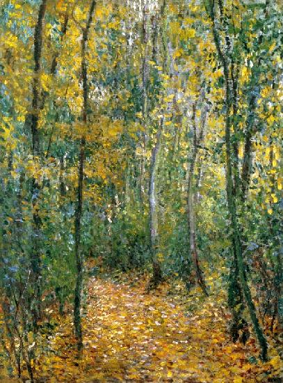 “Sous-bois” (Unterholz), Montgeron