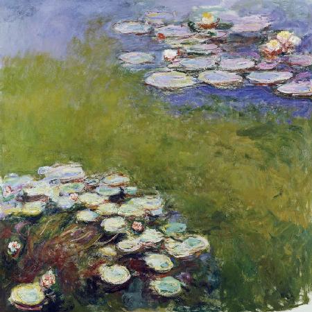 Waterlilies, Harmony in Blue