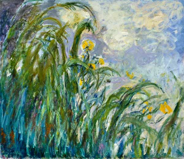 The Yellow Iris od Claude Monet