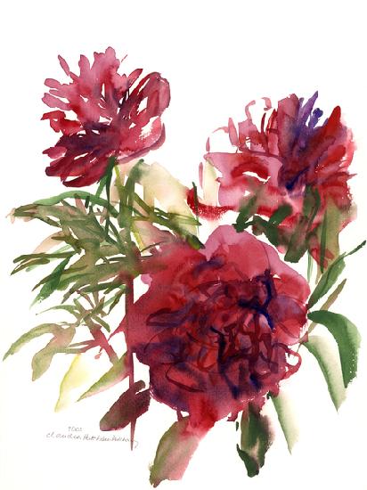 Peonies