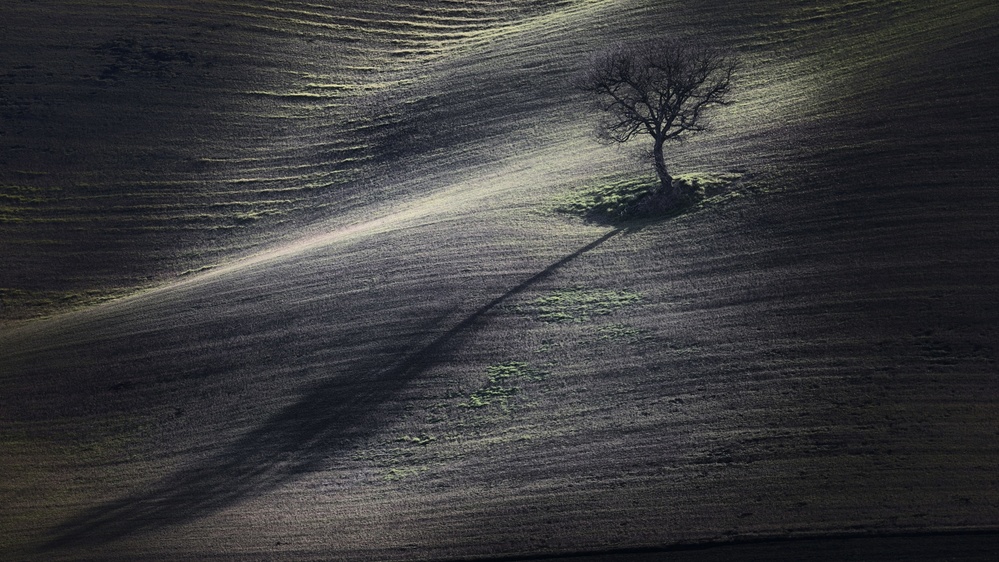 the long shadow od Claudio Moretti