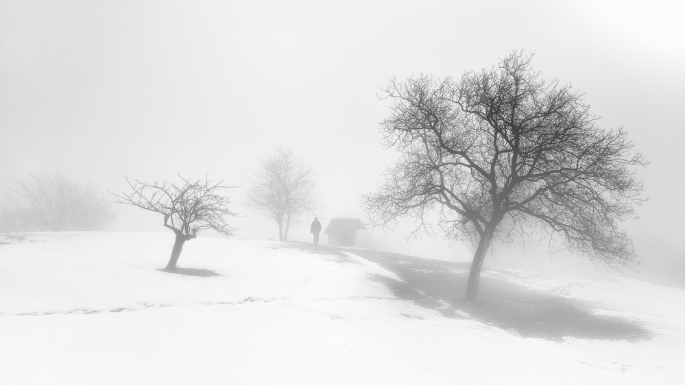 A melancholy foggy day. od Claudio Moretti