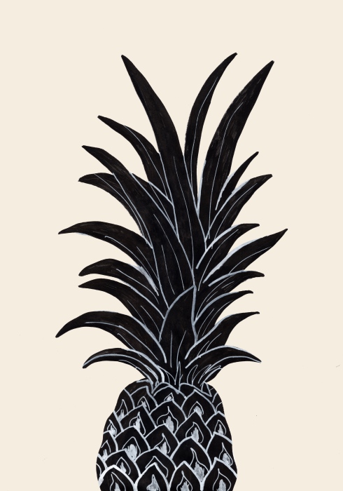Black Pineapple od Graphic Collection