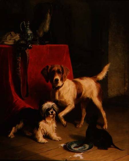 Three dogs od Conradyn Cunaeus