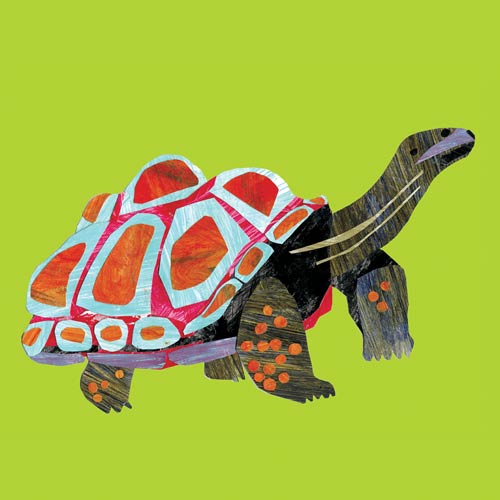 Paper Tortoise od Louise Cunningham