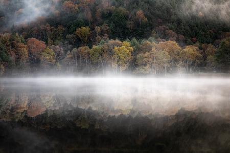 The mystical pond in the autumn