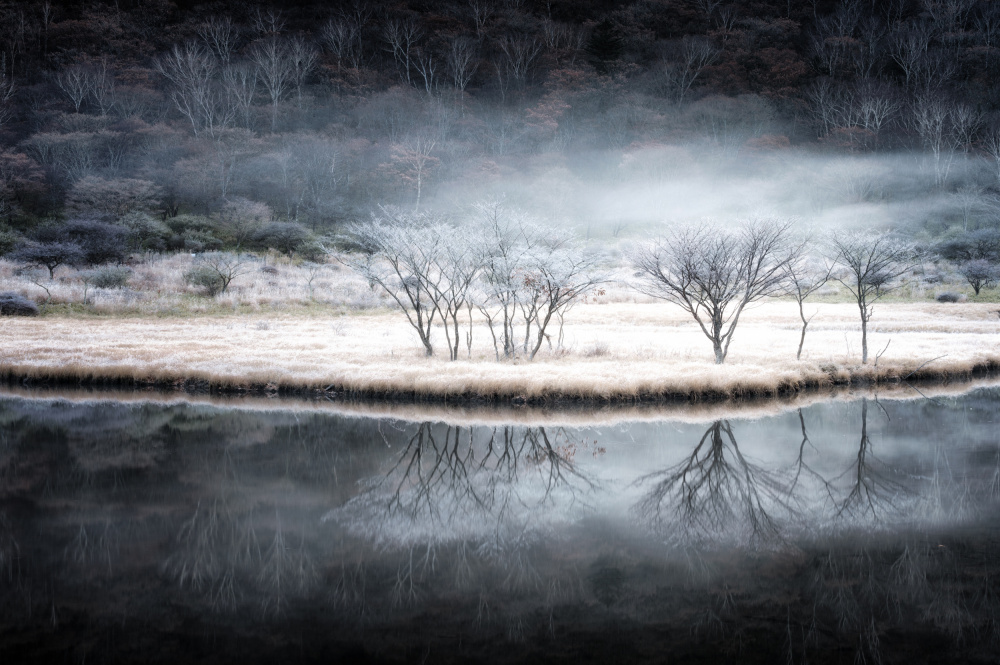 Between autumn and winter od Daiki Suzuki