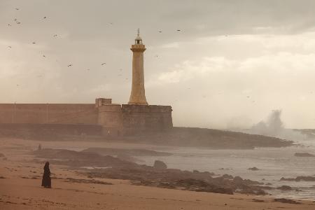 Woman and her storm